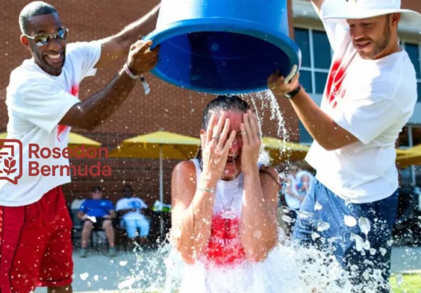 Knives Out - 2025-06-19T150733.337