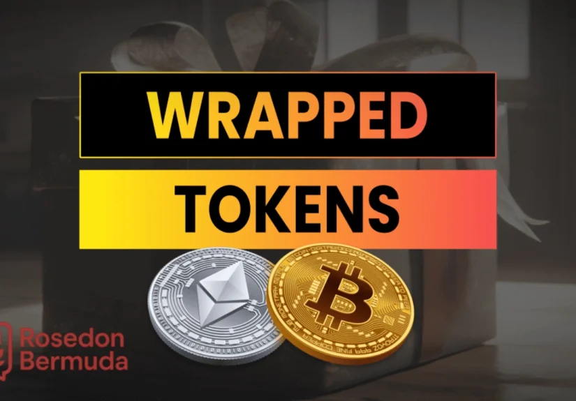 Wrapped Token