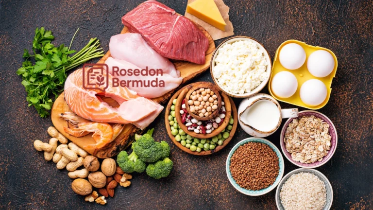 Makanan Tinggi Protein