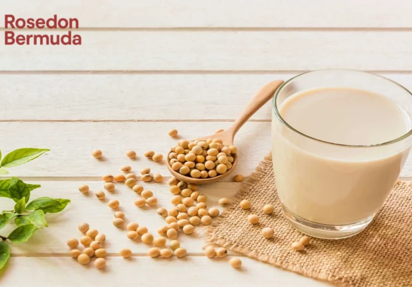 Susu Kedelai
